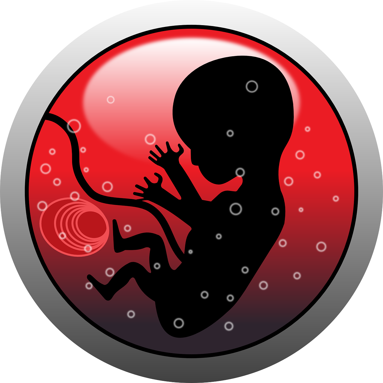 Embryo Human Infant - Abortion Png (1280x1280), Png Download