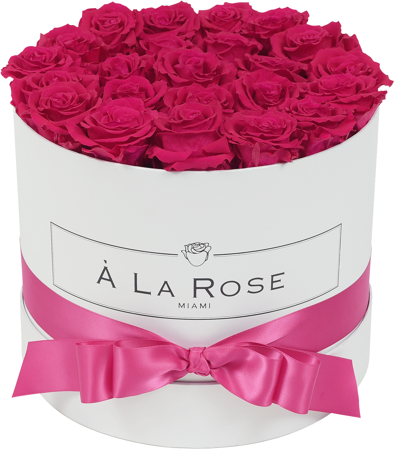 Orb Deluxe Hot Pink Roses - Pink Roses (2000x2000), Png Download