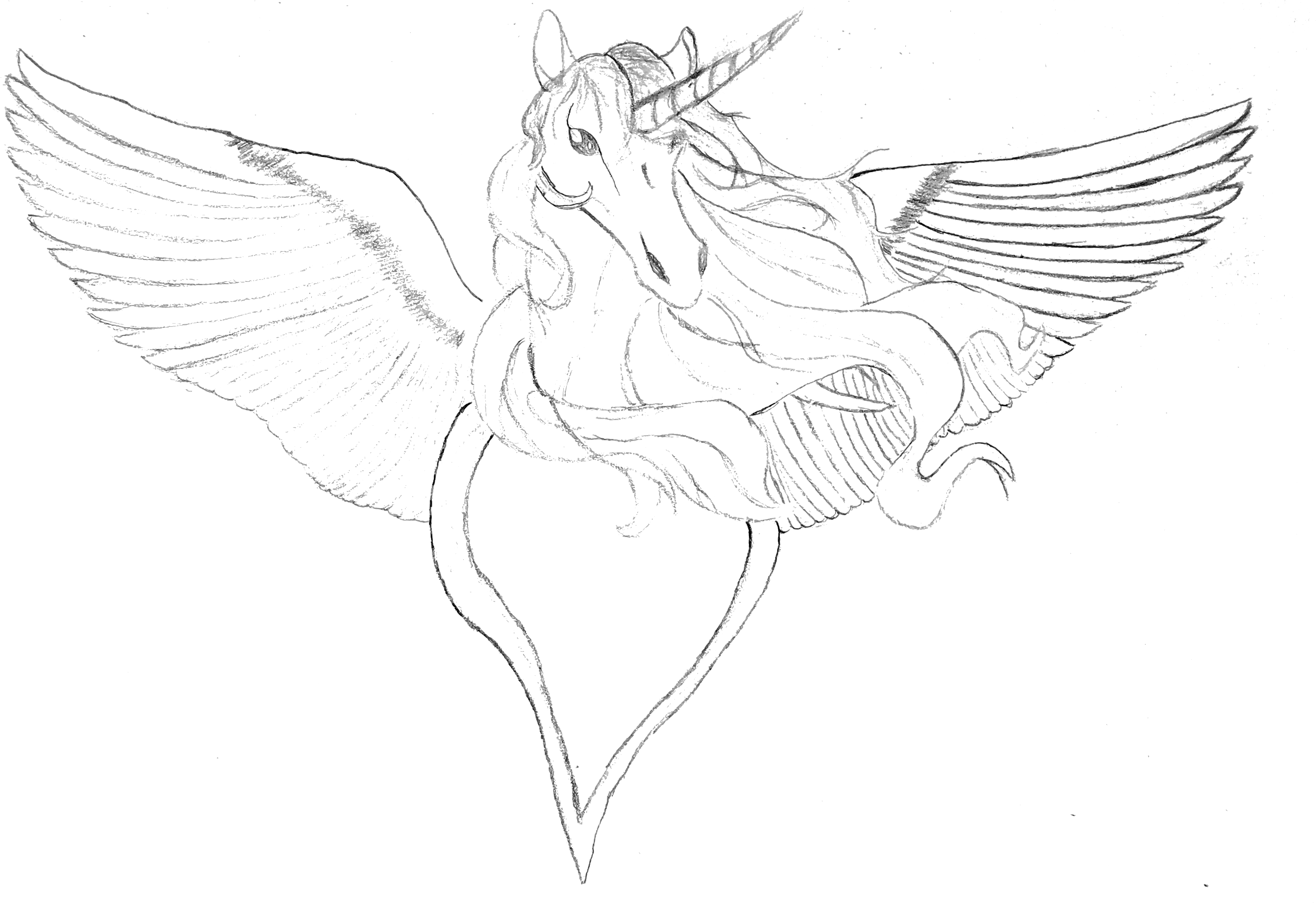Alicorn Boutique - Sketch (4032x2684), Png Download