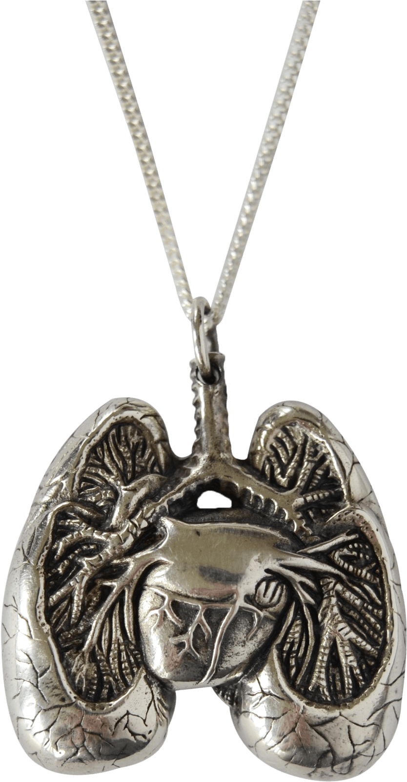 Anatomical Lung Pendant - Anatomical Lungs Necklace (2048x2037), Png Download