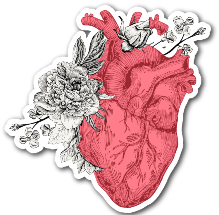 Anatomy Sticker - God (1024x1024), Png Download