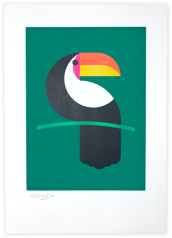 Toucan Print - Toucan (1080x1080), Png Download