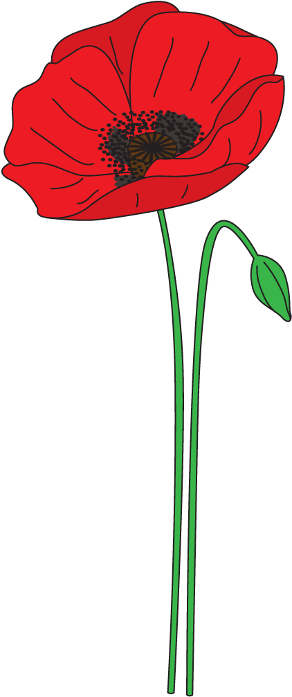 Poppy Jump Transparent Png - Anzac Day Poppy Clipart (539x1123), Png Download