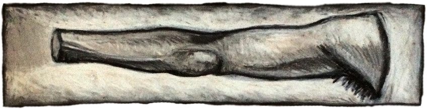 Picture - Driftwood (861x238), Png Download