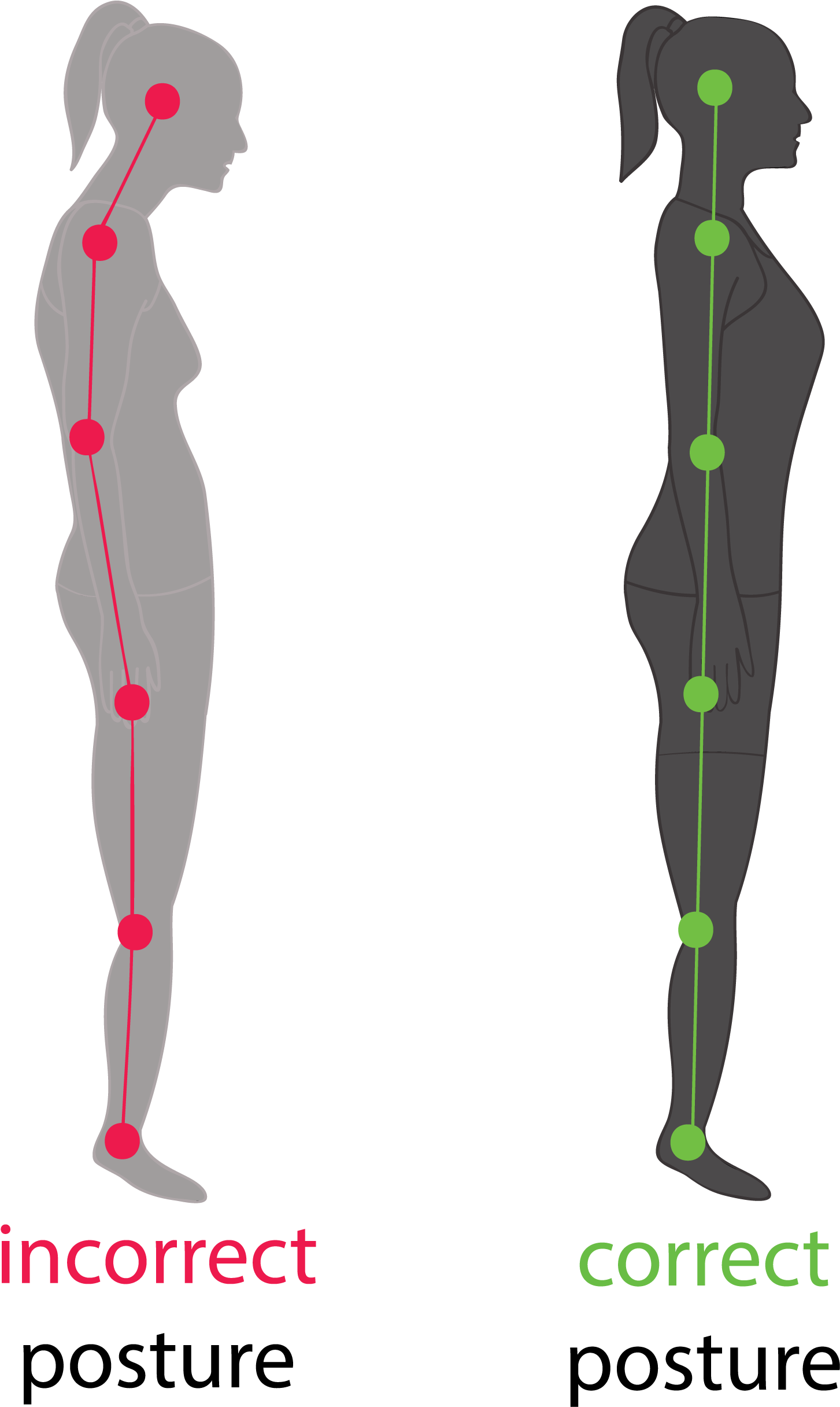 Correct height. Постура. Постура тела. Правильная Постура. Incorrect posture.