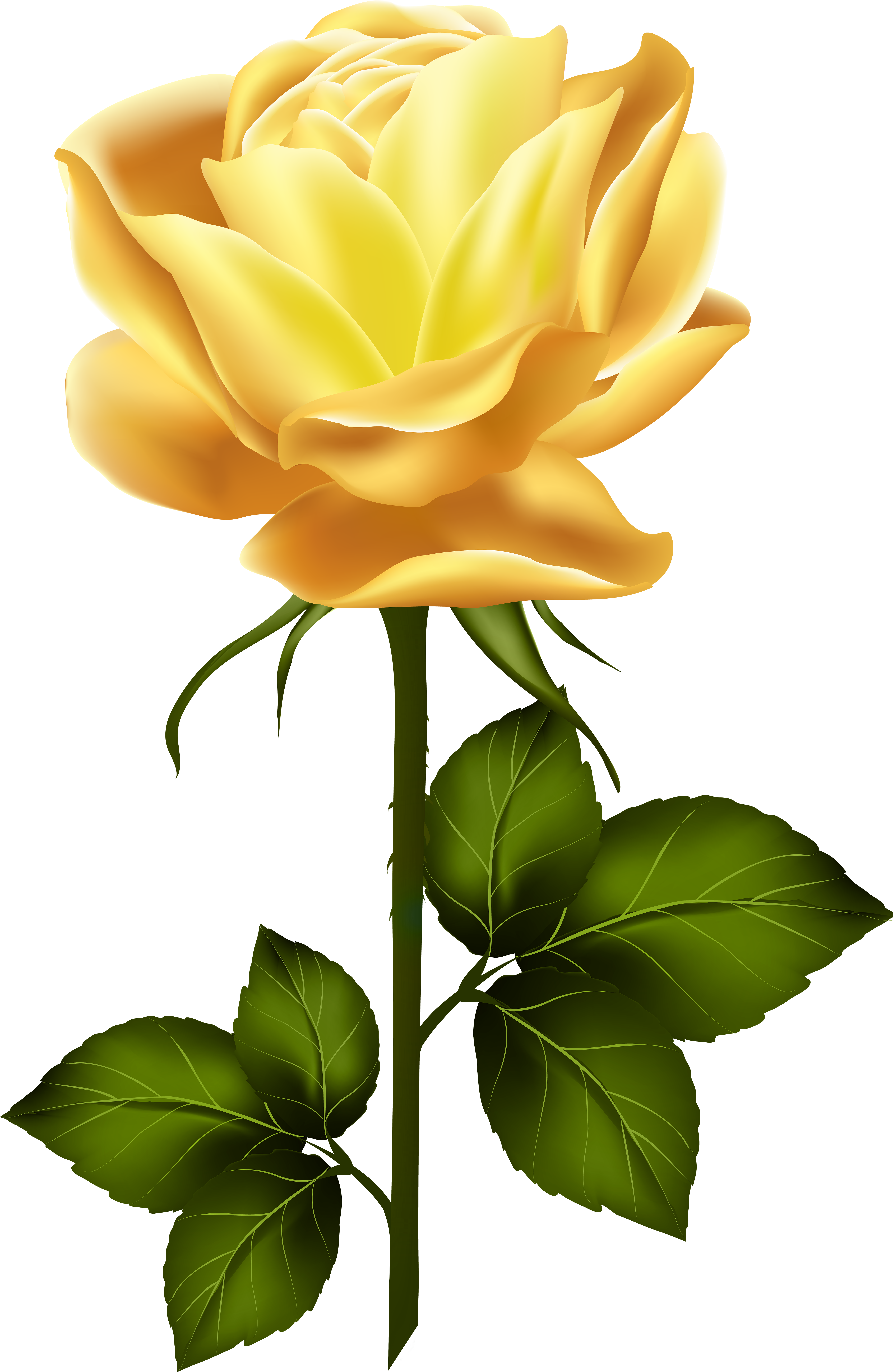 Download Clipart Roses Yellow Rose - Yellow Rose With Stem PNG Image with N...