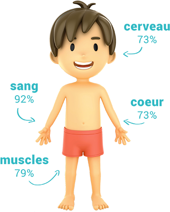 Body - Finn And The Magic Chest (352x437), Png Download