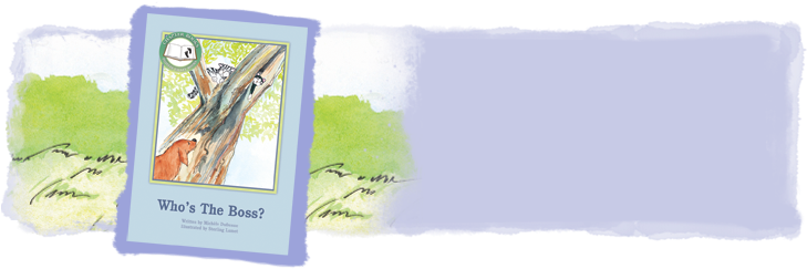 Pioneer Valley Books - Who's The Boss [book] (728x250), Png Download