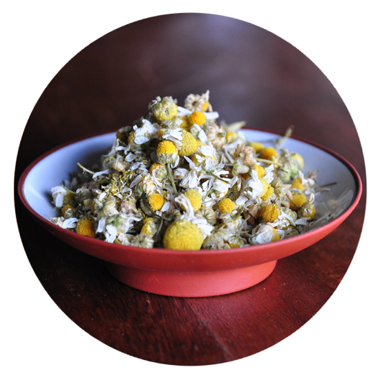 Chamomile Round (578x578), Png Download