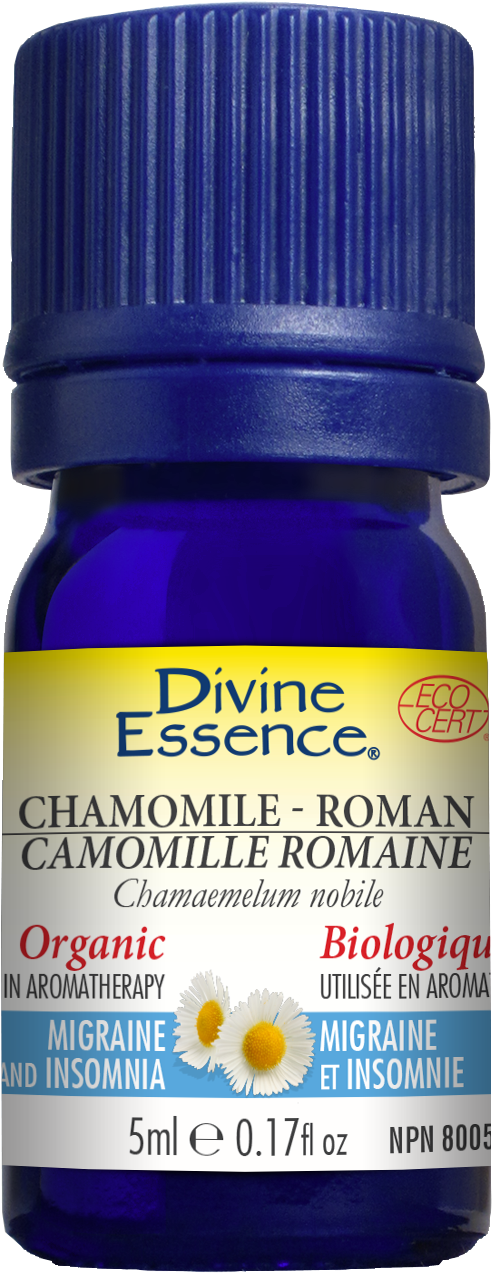 Share - Divine Essence Carrot Organic Essential Oil (628x1293), Png Download