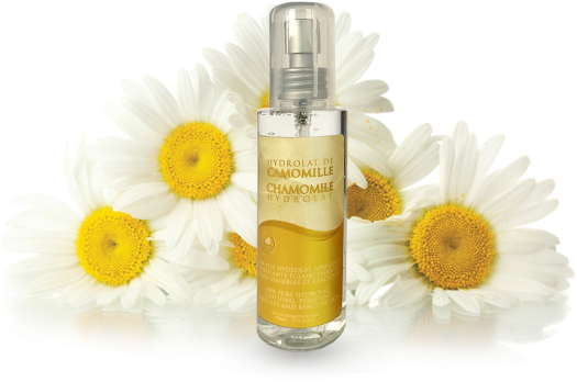 Chamomile Png Transparent Images - Herbal Distillate (640x480), Png Download