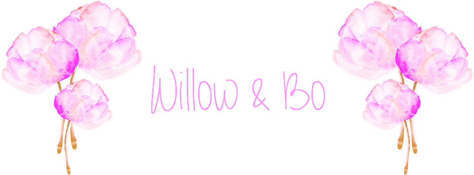 Carnation (1000x400), Png Download