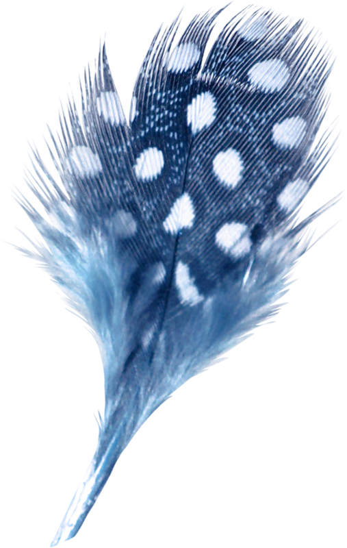 Fotki Feather Stencil, Feather Drawing, Feather Art, - Feather (507x800), Png Download