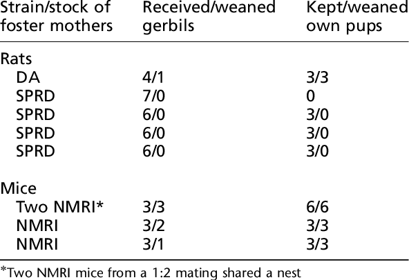 Results Of Fostering Gerbils To Rats And Mice - Number (592x406), Png Download