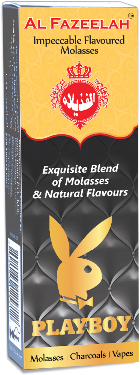 Domestic Rabbit (600x800), Png Download