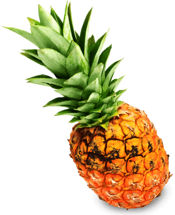 P - Pineapple (831x449), Png Download