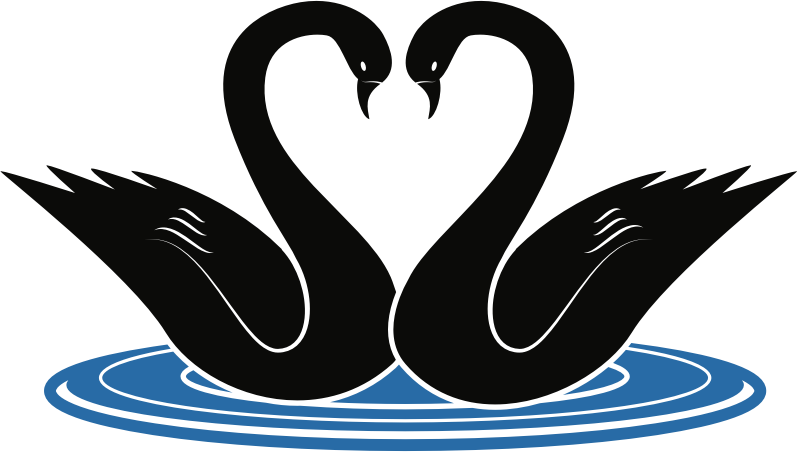 Medium Image - Clip Art Swans (798x452), Png Download
