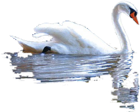 Collage Art (640x480), Png Download