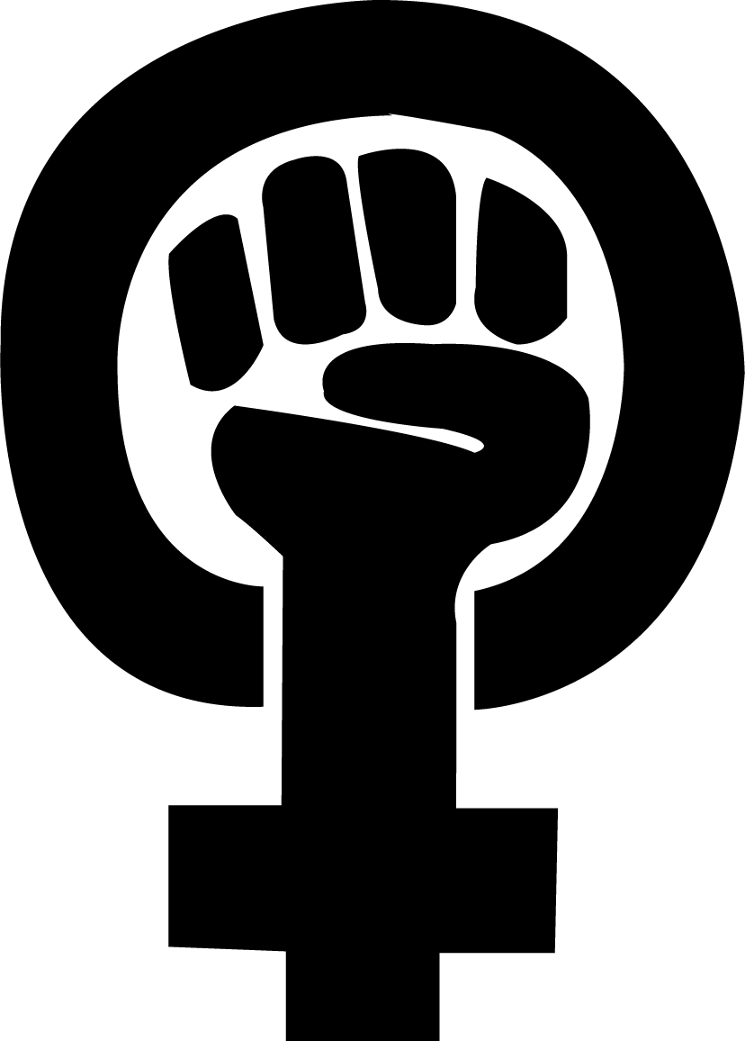 Download Healthcare - Women Empowerment Programmes Icon PNG Image with No  Background 
