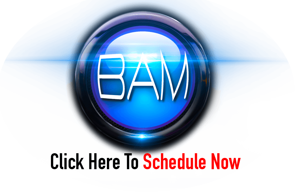 Bam Button Schedule Now - Tierra De Sabor (872x567), Png Download
