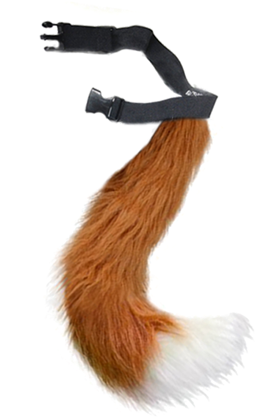 Fantastic Fox - Eurasian Red Squirrel (1000x1000), Png Download