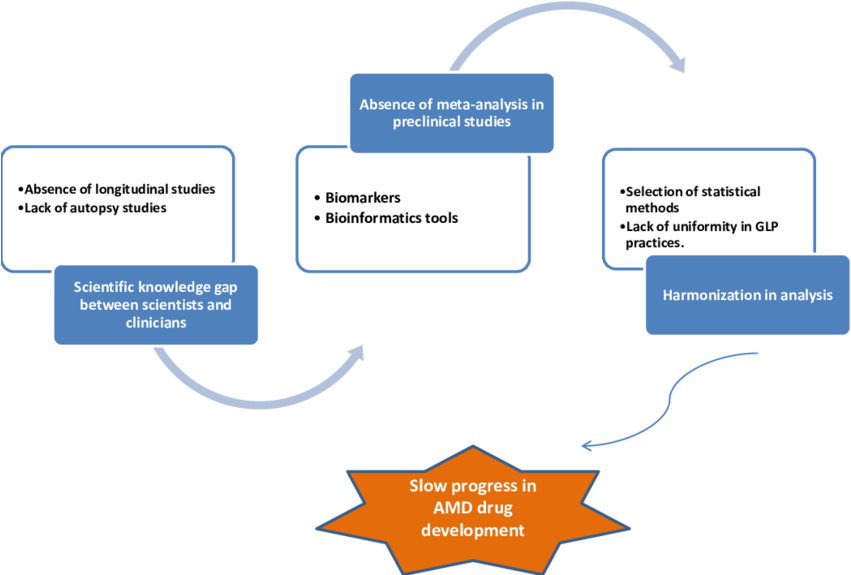 Schematic Representation Of Roadblocks In Amd Translation - Colorfulness (850x593), Png Download