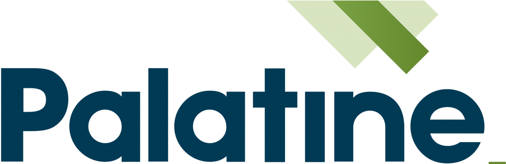 Palatine Impact Logo - Cross (1480x322), Png Download