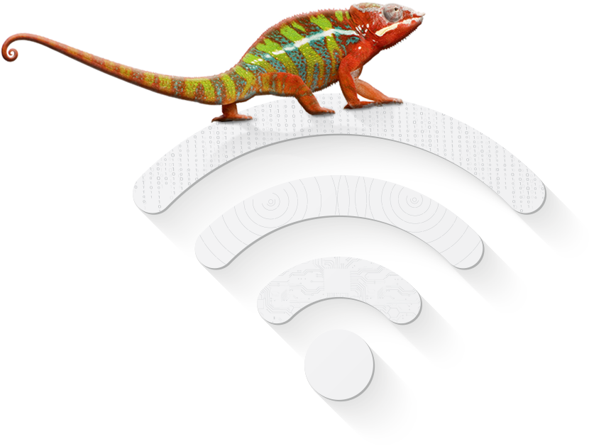 Chameleon-1 - Common Chameleon (830x629), Png Download