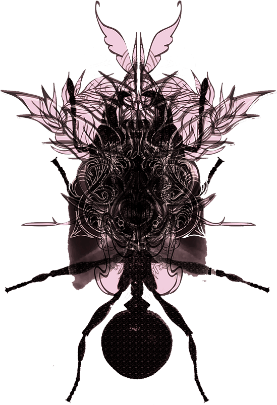 Ali Masoudi Text - Illustration (714x1000), Png Download