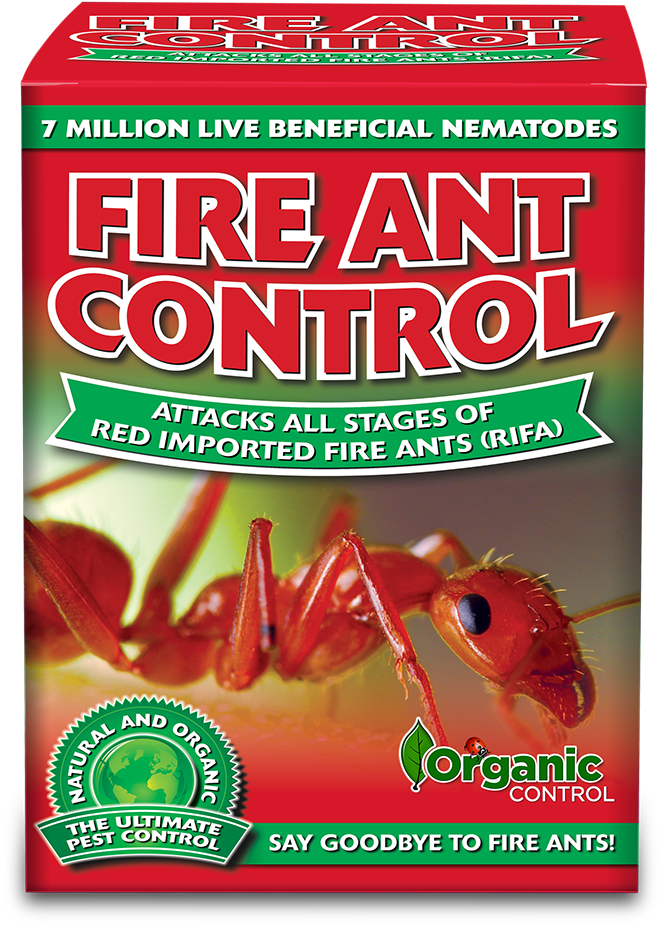 Note - Carpenter Ant (820x1027), Png Download