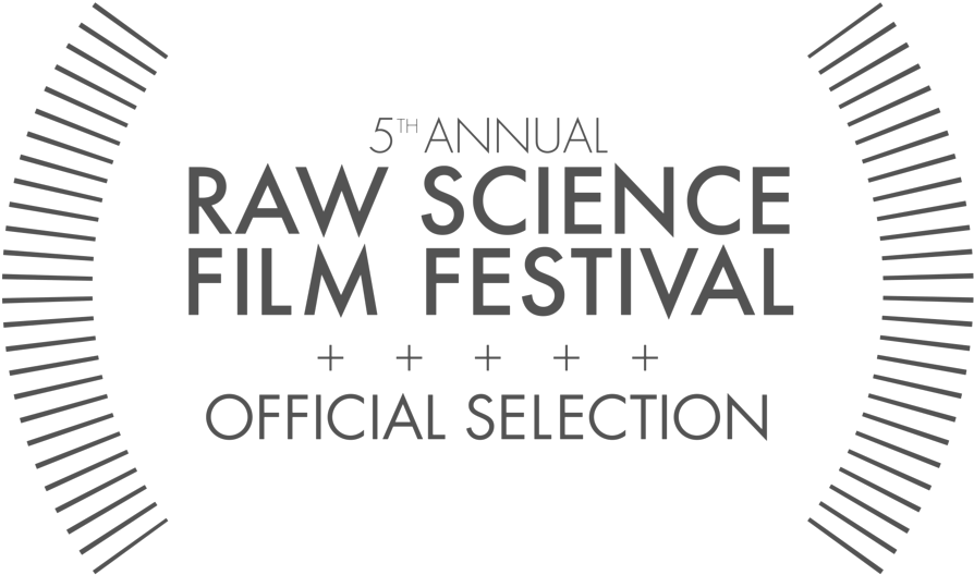 Rsff Laurels Selection Outline - Te Arawa (1000x662), Png Download