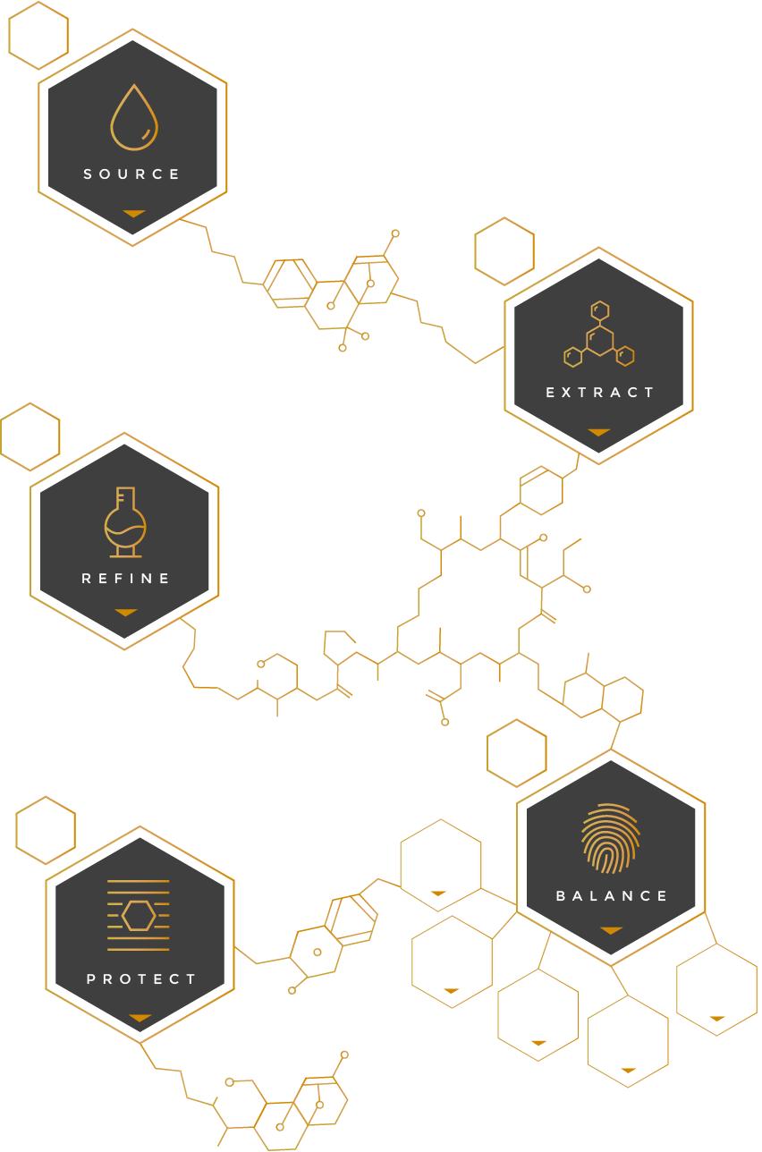 Goldmoon Home Infographic - Harmonic Table (852x1288), Png Download