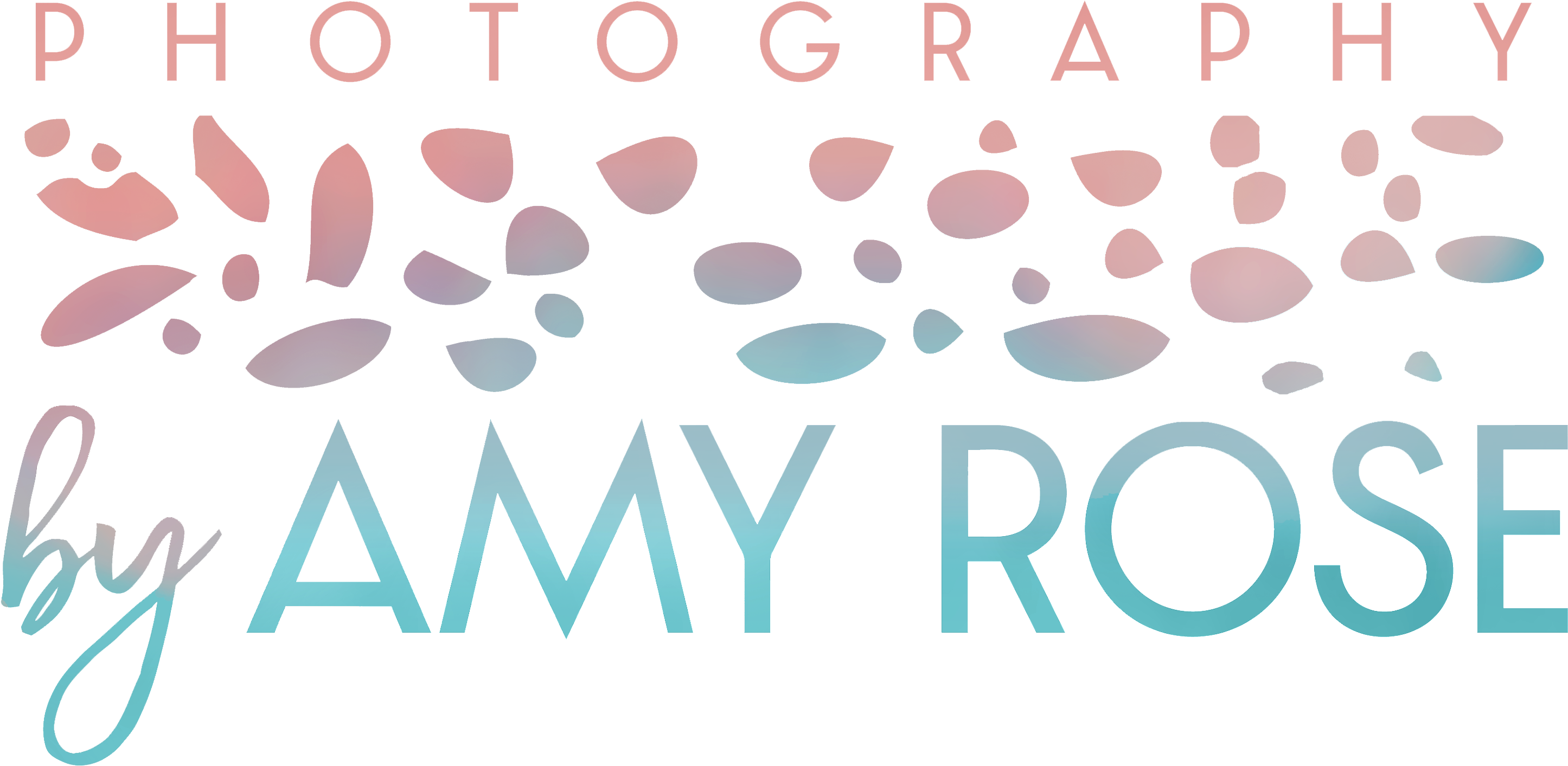 Amy Cessna - Circle (3211x1675), Png Download