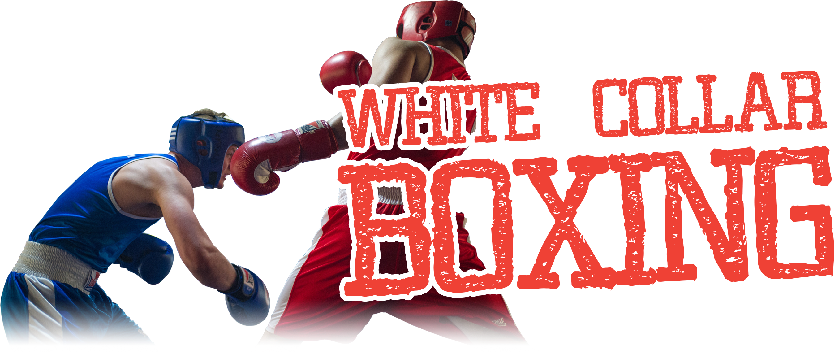 White Collar Boxing - White Collar Boxing Png (2905x1673), Png Download