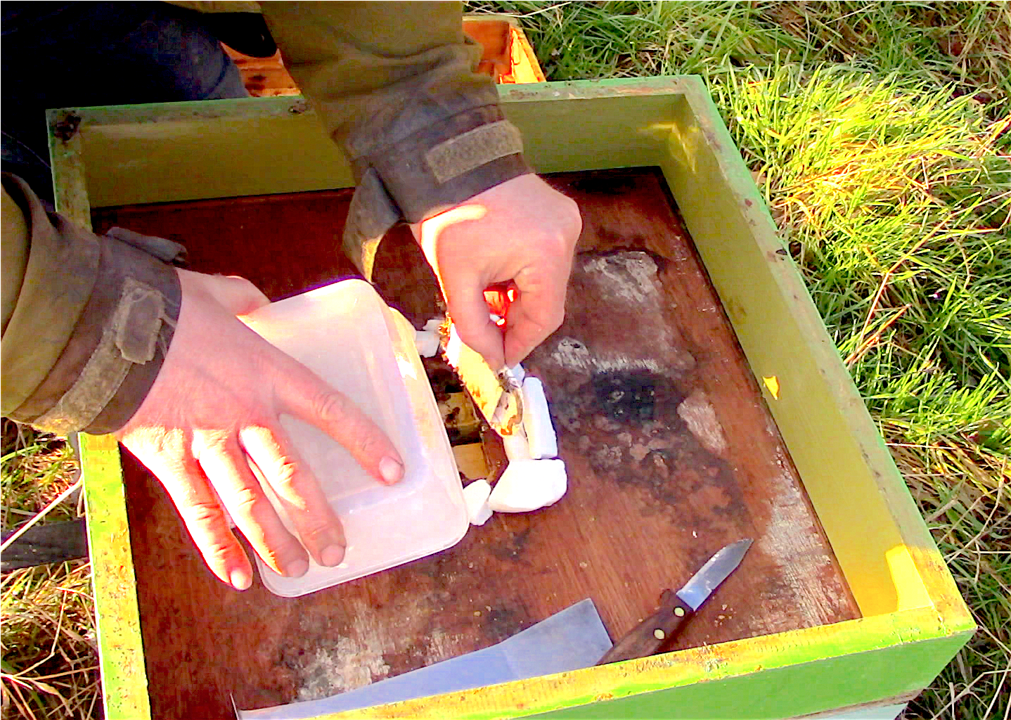 #beehiveyourself #wantagehoney - Beekeeping (1901x1076), Png Download