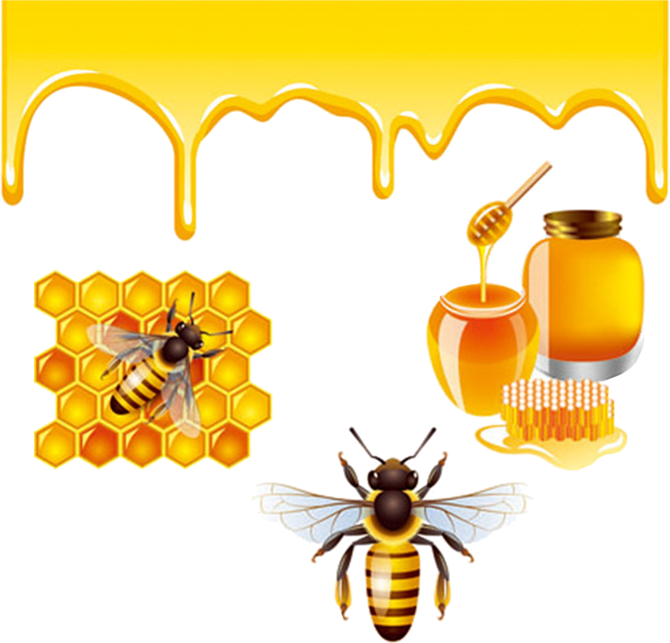 Honey Bee Royalty-free - Bee And Honey (2362x2362), Png Download