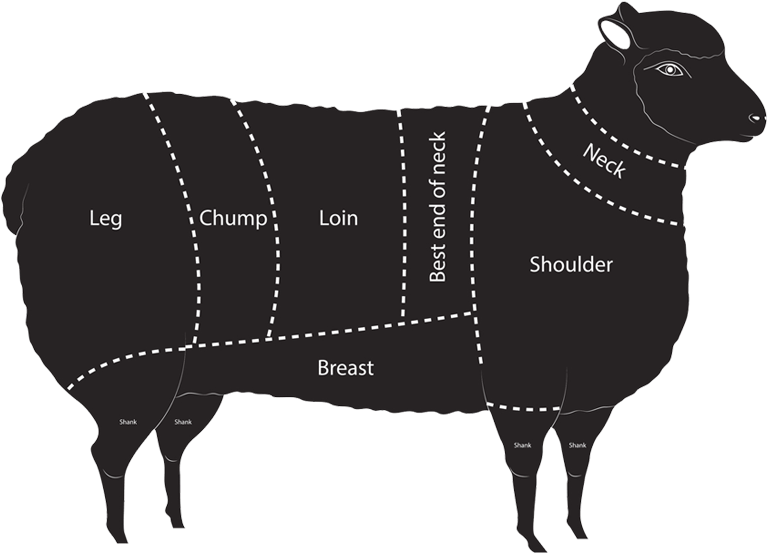 Lamb - Sheep (1000x1000), Png Download