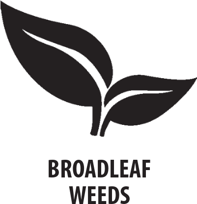 Tzone™ Se Broadleaf Herbicide For Tough Weeds - Graphic Design (585x585), Png Download