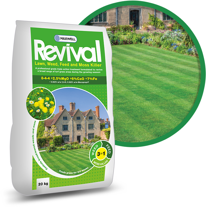 Lawn (800x800), Png Download