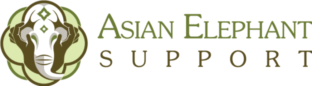 Asian Png (1000x277), Png Download