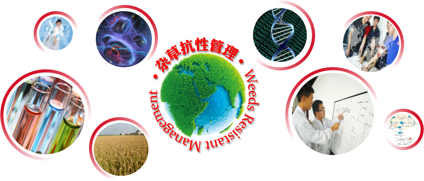 Established In 2009, Kingagroot Is A Weeding Science (1721x734), Png Download