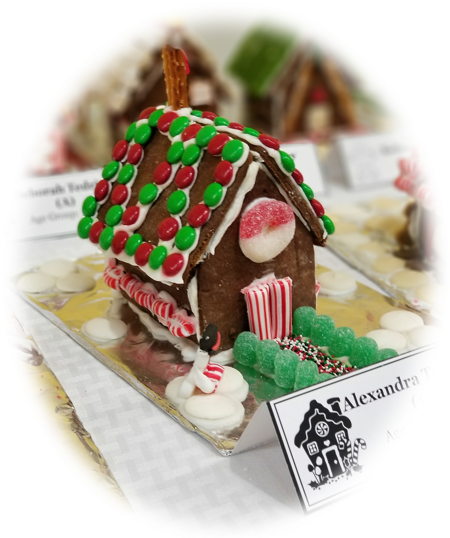 Winner In The Adult Group - Gingerbread House (1512x1770), Png Download