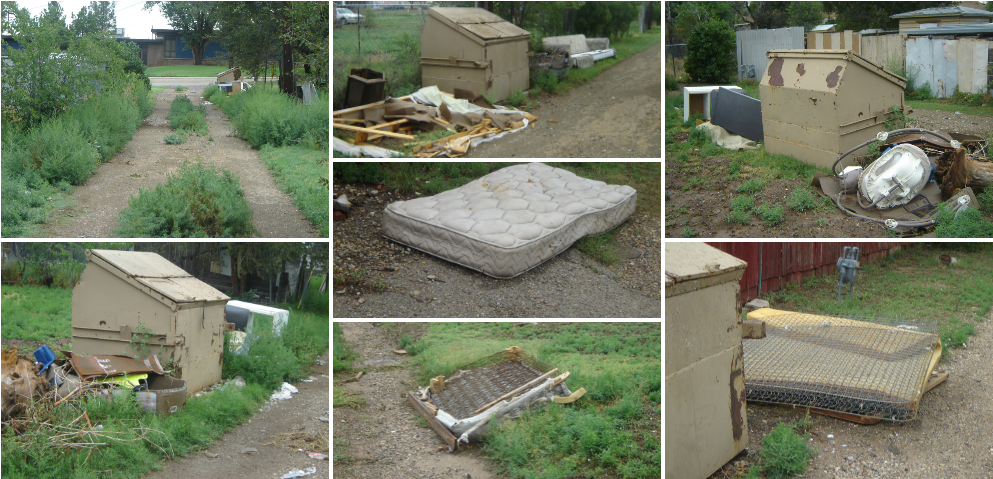 Name That Weed There Are Plenty Of Them Around Amarillo - Yard (1000x486), Png Download