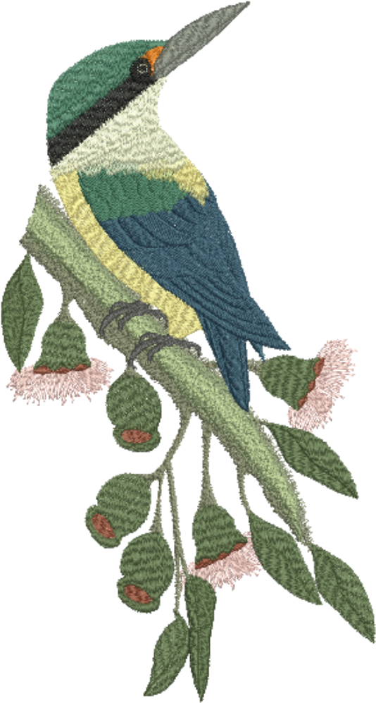 Sacred Kingfisher - Png (1000x1000), Png Download