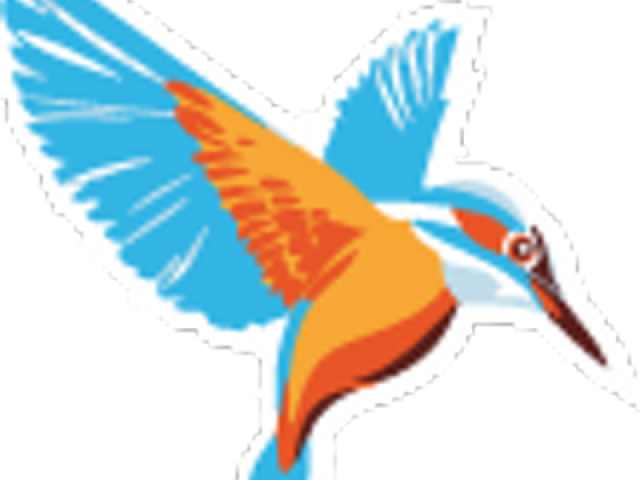Kingfisher (640x480), Png Download