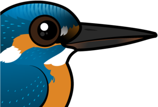 Kingfisher Clipart Transparent - Duck (640x480), Png Download