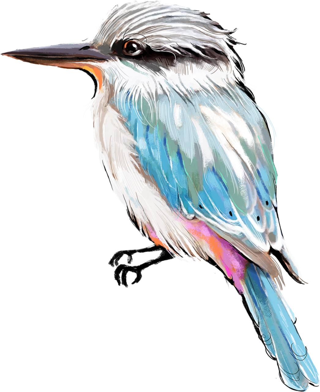 New Birds Crop Png (2560x1920), Png Download