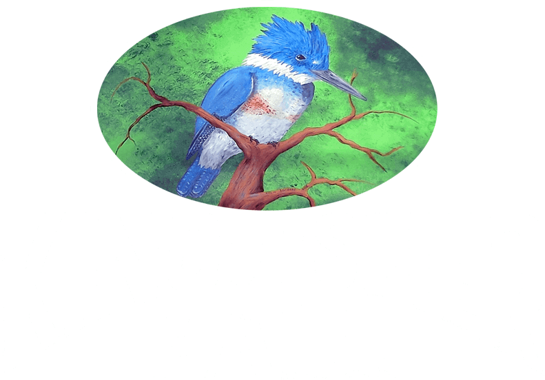 Kingfisher Hall - Hummingbird (791x552), Png Download