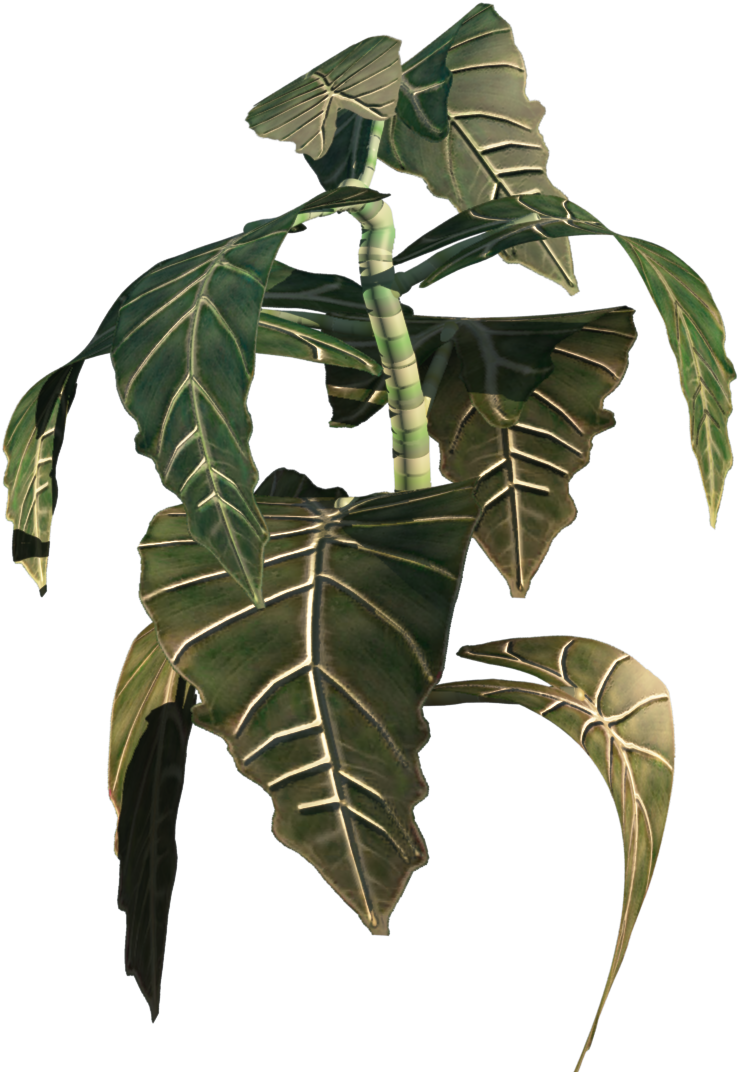 Plant4 - Illustration (1920x1097), Png Download