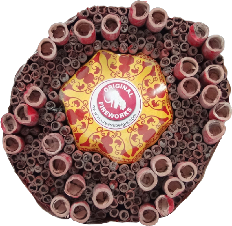 Celebration Cracker - Chocolate (800x800), Png Download